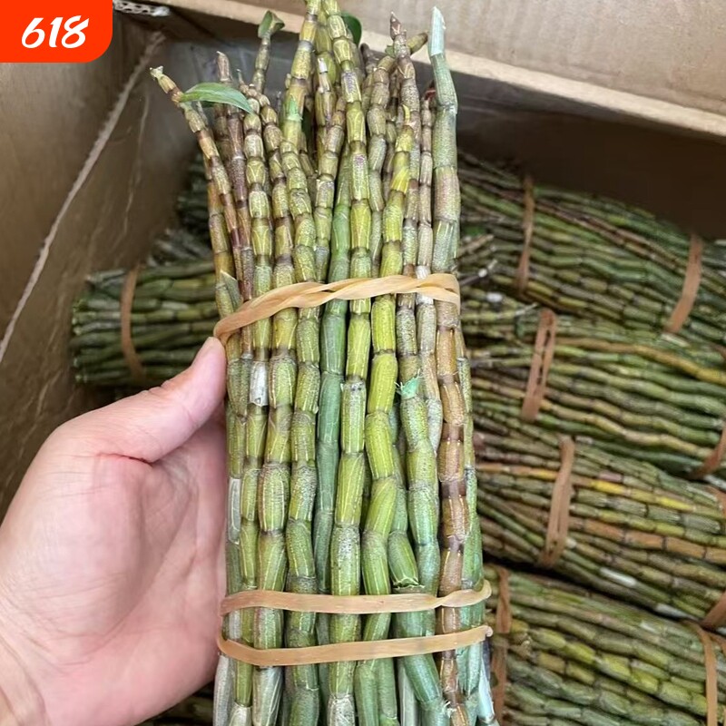 云南新鲜铁皮石斛鲜条食用滋补仿野生种植2-7年生现剪现发