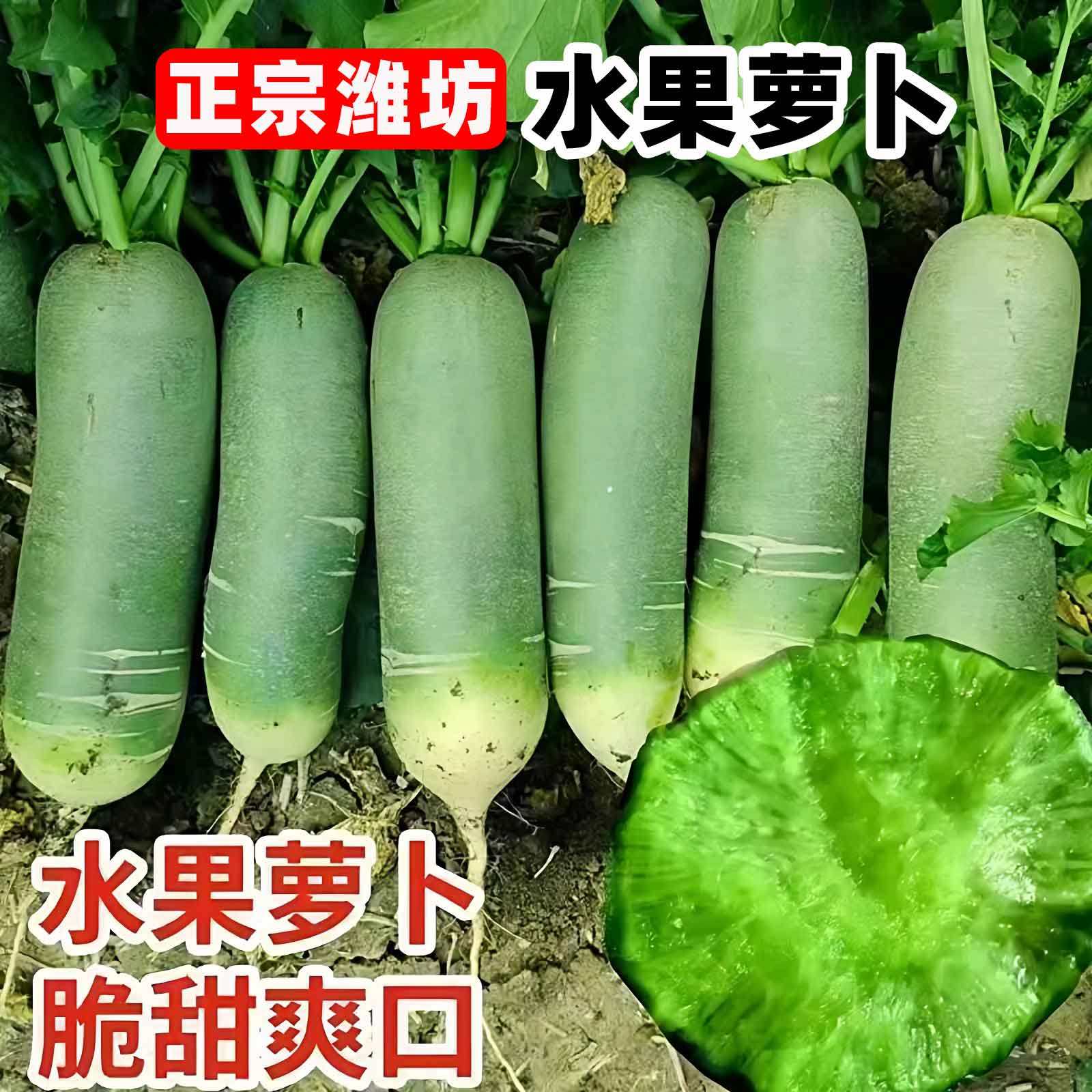 潍坊水果萝卜新鲜甜脆水果型9斤青冰淇淋凤梨生吃正宗青绿胡萝卜,水产肉类/新鲜蔬果/熟食,萝卜/胡萝卜,淘宝优惠券,粉丝福利购,淘宝优惠卷