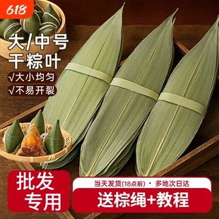 粽子叶干棕叶大号新鲜端午节包粽子的竹叶商用箬叶批发材料叶子