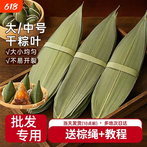 粽子叶干棕叶大号新鲜端午节包粽子的竹叶商用箬叶批发材料叶子