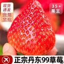 辽宁丹东99草莓新鲜红颜奶油草莓东港马家岗九九牛奶大草莓礼盒装