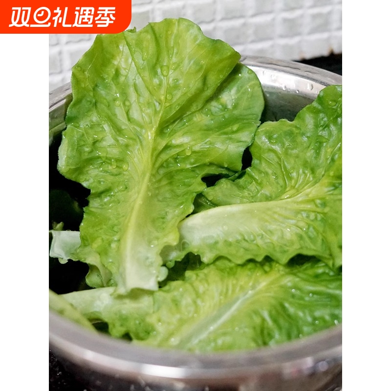 仿真生菜叶模型蔬菜叶子装饰垫盘