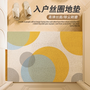 入户门地垫门口进门脚垫可裁剪丝圈进户门垫轻奢高级门外防滑地垫