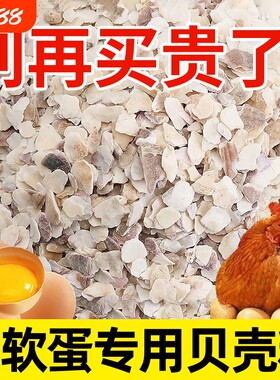 贝壳粉鸡用饲料牡蛎粉补钙防软蛋
