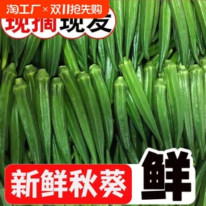 新鲜秋葵当季黄秋葵鲜嫩秋葵凉拌即食水果秋葵新鲜净重1-4.8斤