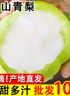 正宗砀山青梨新鲜水果皇冠梨当季翠冠梨香酥脆蜜早雪梨整箱批发价