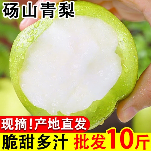 正宗砀山青梨产地直发脆甜多汁