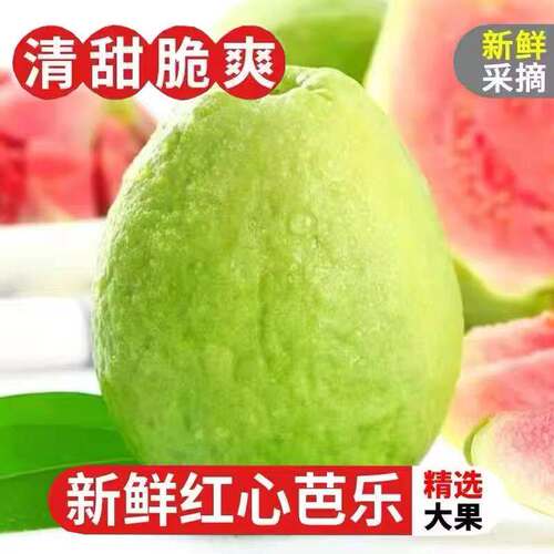 广东红心芭乐番石榴新鲜水果