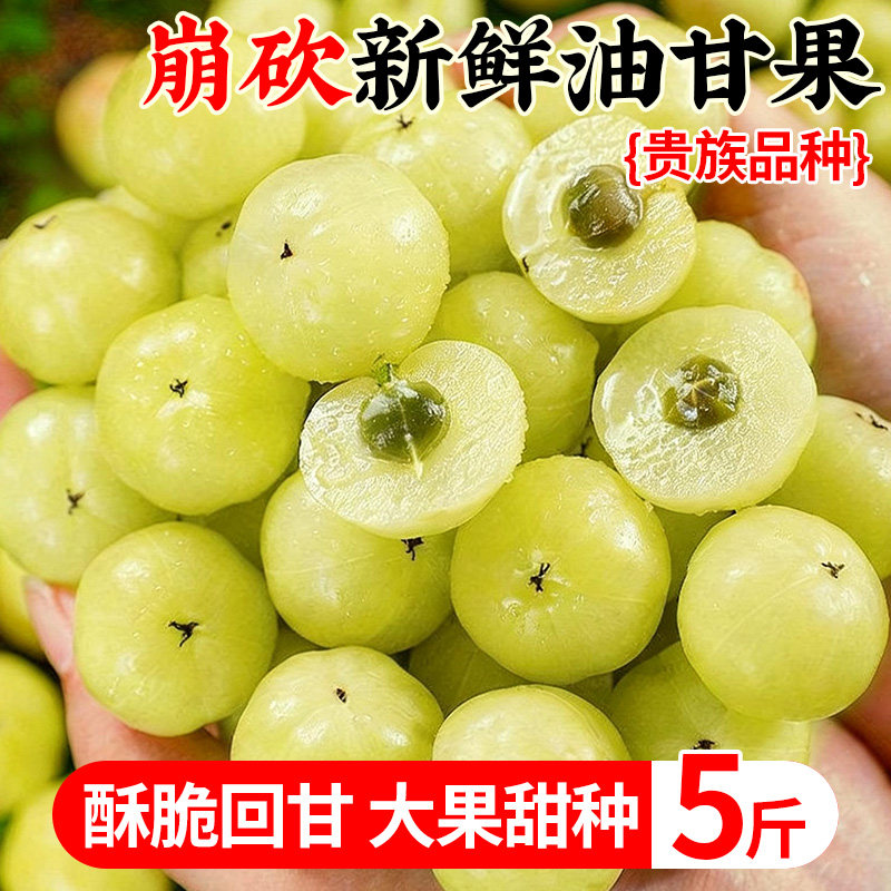 油甘果新鲜油柑子崩坎柿饼甜种余甘果甜橄榄果余甘子柚牛甘果水果,水产肉类/新鲜蔬果/熟食,油甘果,淘宝优惠券,粉丝福利购,淘宝优惠卷