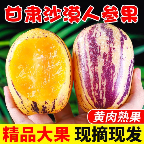 甘肃民勤沙漠人参果新鲜水果人心果人生果树上熟产地直发5斤整箱