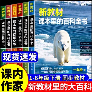 2026新教材课本里的大百科同步新教材小学语文数学英语一二三四五六年级下册配套人教版儿童百科全书小学生百科常识大全正版新版K