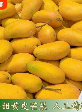 精选黄皮小芒果水果薄皮核小台芒果水果坏果包赔小台农芒新鲜