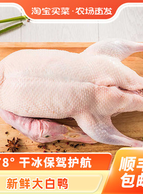 鲜冻整只大白鸭顺丰包邮