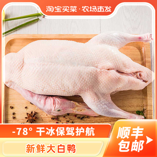 生鲜冷冻白条鸭樱桃谷鸭整鸭大白鸭烤鸭烧鸭卤鸭新鲜食材顺丰包邮