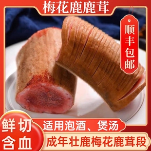 吉林鲜鹿茸头茬梅花鹿整根鹿茸片泡酒专用正品 片新鲜带血鹿茸整枝