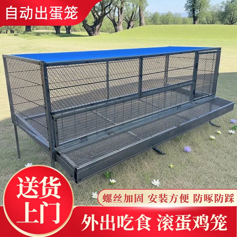 鸡笼子家用室外防雨自动收蛋防啄防黄鼠狼防鼠加厚养殖笼小型犬