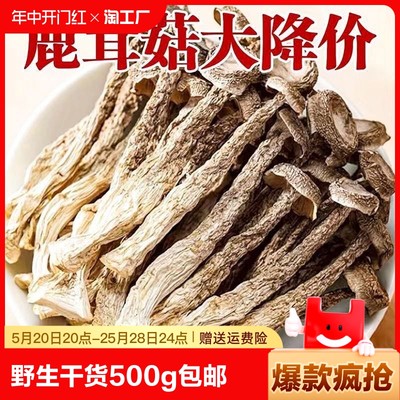 云南特产脆脆菇煲汤材香菇500g