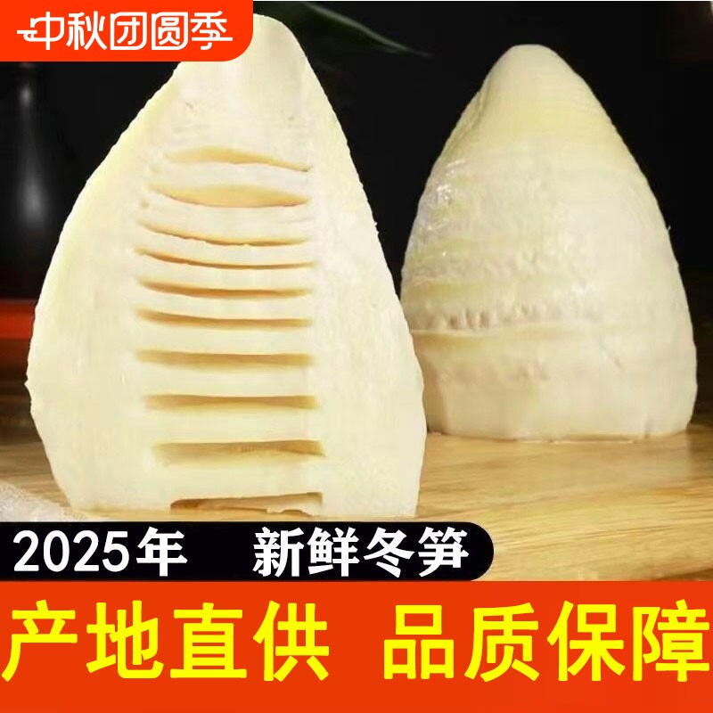 冬笋野生江西新鲜精选嫩笋尖新鲜竹笋湿笋片丝冬笋炒腊肉笋春笋