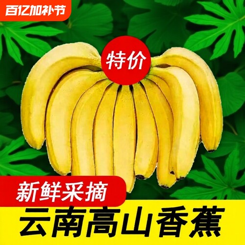 一级果甜香蕉|超4000次加购