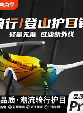 骑行眼镜变色日夜两用户外专业运动防风跑步专用护目镜登山徒步