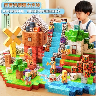 我 磁铁吸积木玩具思维 世界磁力方块全套女男孩拼图儿童益智拼装