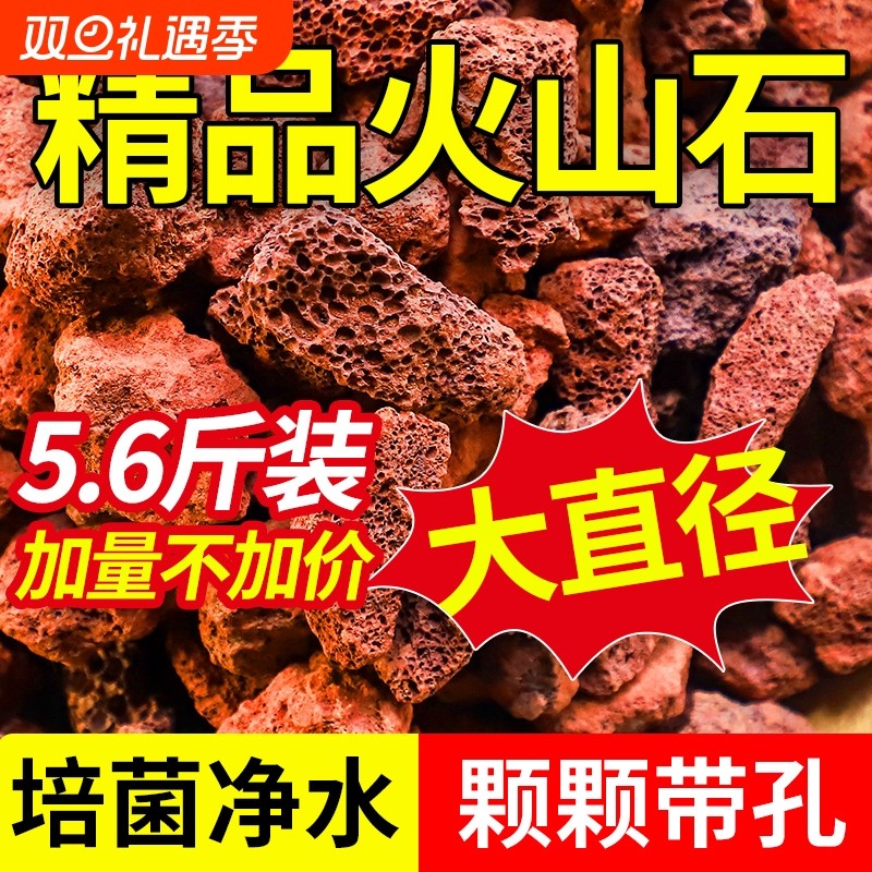 天然火山石颗粒养鱼缸养花底砂兰花石斛专用植料造景土壤生态水质