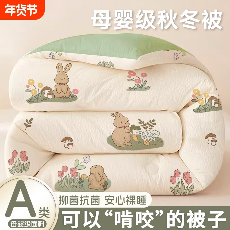 被子冬被棉被芯四季通用宿舍单人学生保暖春秋空调被冬季加厚大豆,床上用品,化纤被,淘宝优惠券,粉丝福利购,淘宝优惠卷