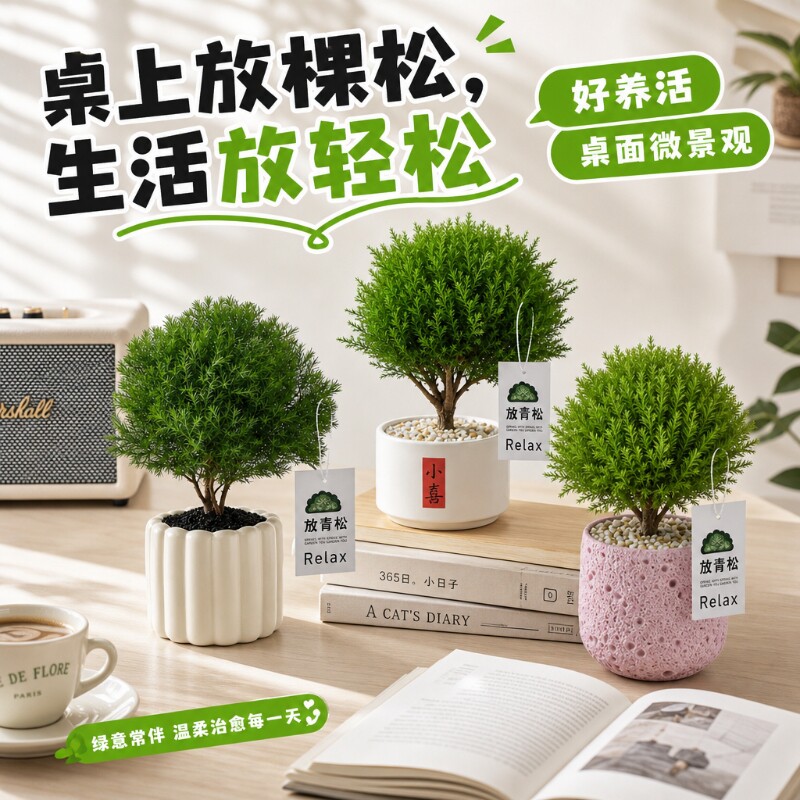 放青松绿植雾凇盆栽室内懒人图片