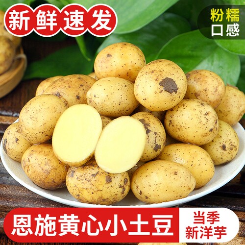 恩施高山小土豆当季现挖新鲜发货
