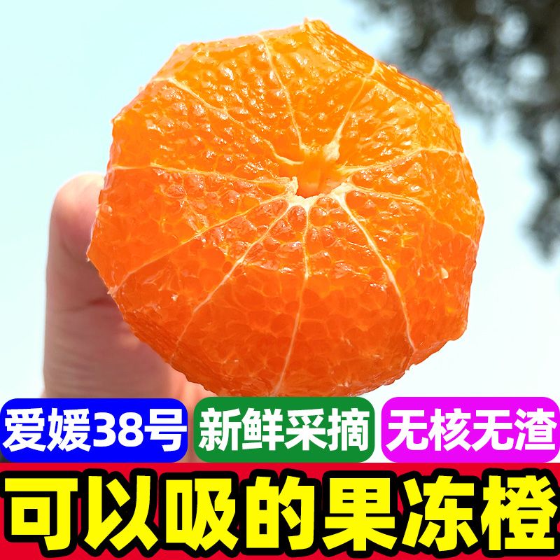 【彩箱装】fn四川38号爱媛橙果冻橙4.5斤果径65mm+