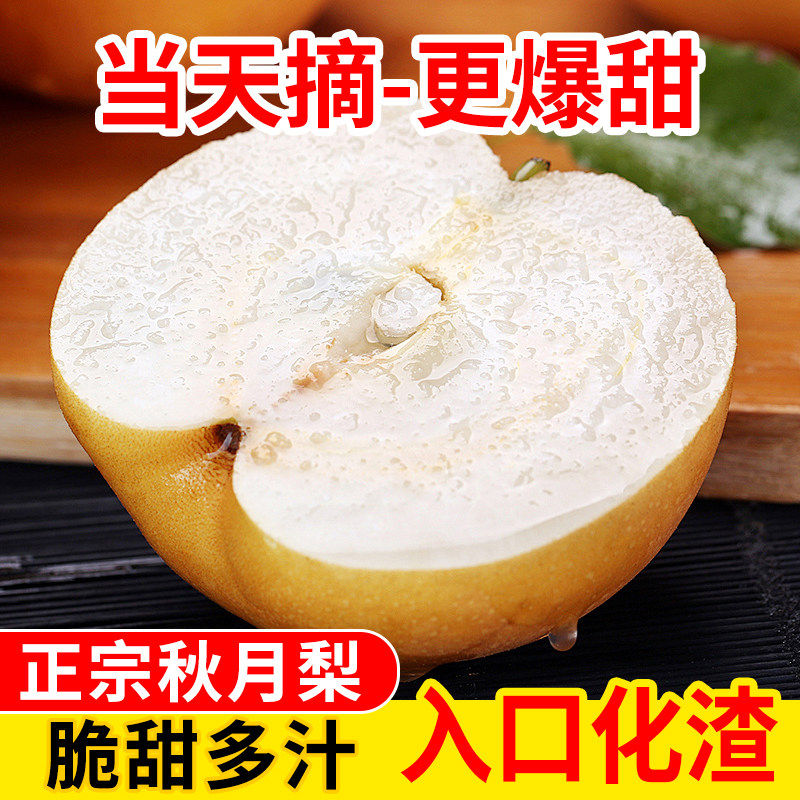 正宗莱阳秋月梨新鲜梨子脆甜当季现摘冰糖梨雪梨蜜梨水果批发整箱,水产肉类/新鲜蔬果/熟食,梨,淘宝优惠券,粉丝福利购,淘宝优惠卷