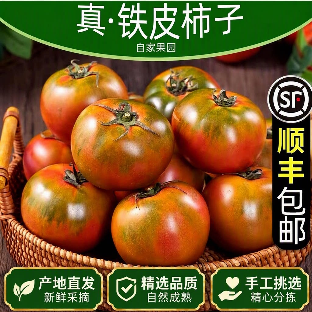 顺丰包邮正宗铁皮西红柿新鲜碱地自然熟生吃水果番茄柿子农场露天