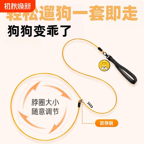 狗狗牵引绳p绳防爆冲狗链小型犬遛狗绳防缠绕中型犬大型犬训练p链