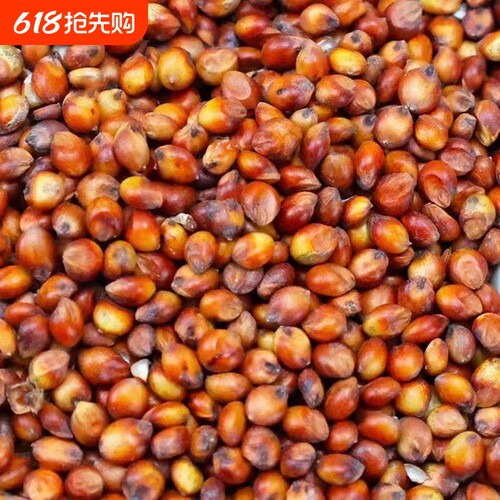 高粱酿酒专用高粱米新米红高粱带壳带皮高粱喂鸽子鸽用贵州红高粱