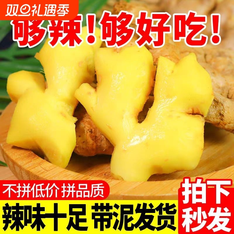 2025正宗云南小黄姜新鲜生姜老姜现挖高山沙姜土姜新鲜直发