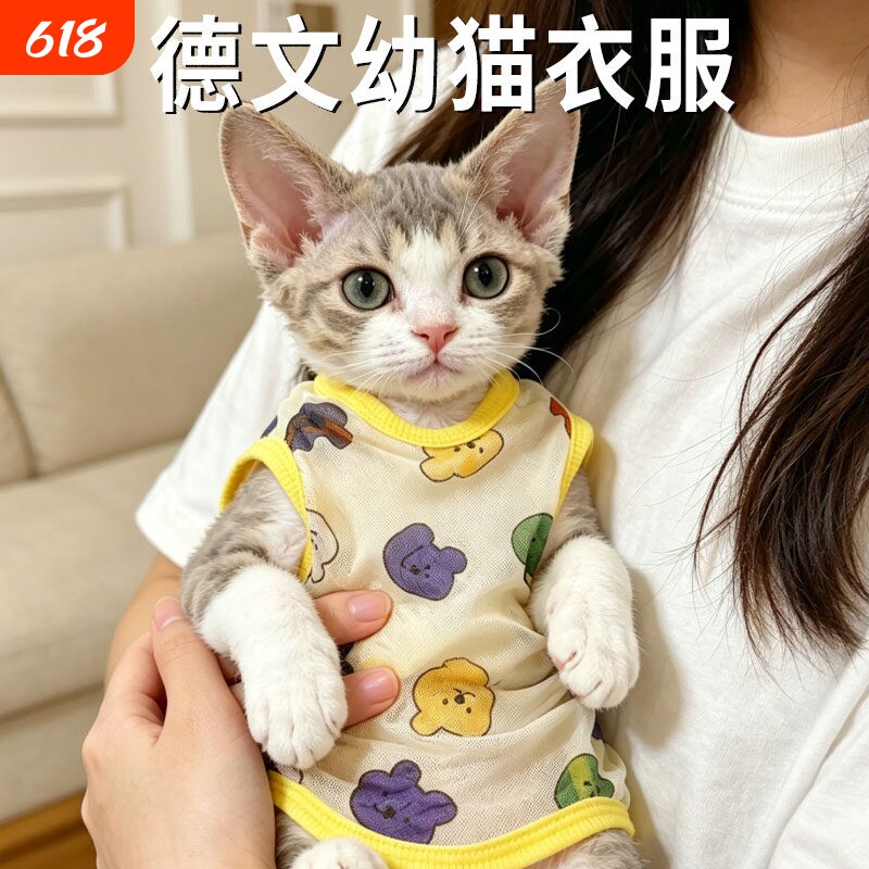 德文幼猫衣服夏季专用无毛猫薄款透气斯芬克斯猫咪背心宠物服饰
