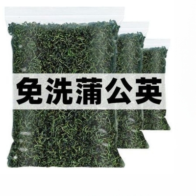 爆款蒲公英天然干净野生代用茶胎菊枸杞茶500克去火排毒降火袋装