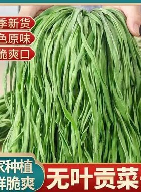 贡菜干火锅涮菜脱水蔬菜凉拌贡菜