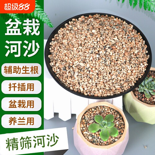 天然粗河沙粒养花用多肉颗粒土铺面石透气黄细沙子鱼缸造景底砂石