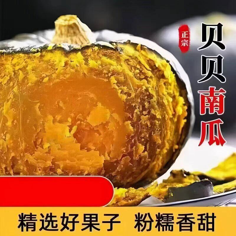 新鲜正宗贝贝南瓜9斤小南瓜粉糯板栗嫩南瓜婴儿辅食粗粮农场香甜