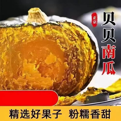 新鲜正宗贝贝南瓜9斤小南瓜