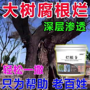 强力烂根大树竹子杂草专用粉清理粉剂枯树王烂根蚀腐根剂处草神器