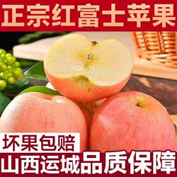 正宗山西运城苹果新鲜水果临猗红富士脆甜薄皮冰糖心整箱直发多汁