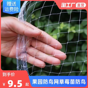 果园防鸟网尼龙网果树樱桃葡萄防鸟用的网鱼塘天网大棚防护养殖网