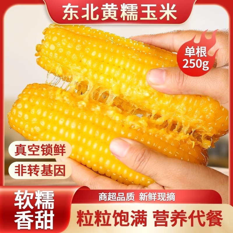东北黄糯玉米粗粮苞米非转基因新鲜即食代餐大棒甜糯玉米真空包装