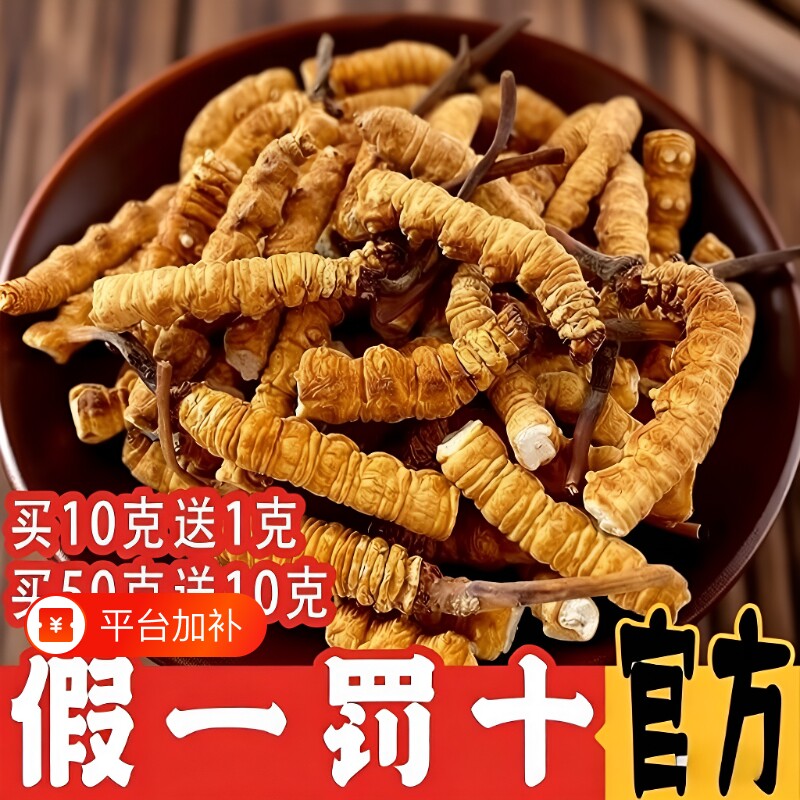 正宗冬虫夏草断草2026西藏那曲头期大干货官方旗舰店正品营养滋补