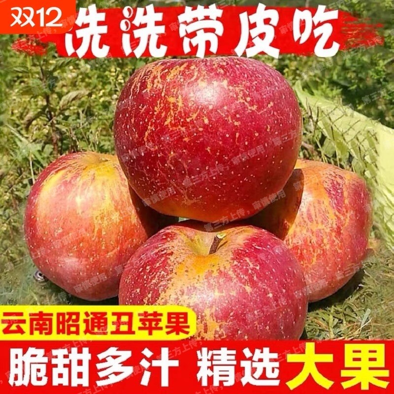 大凉山丑苹果冰糖心苹果新鲜水果10四川斤盐源红富士当季洛川平果
