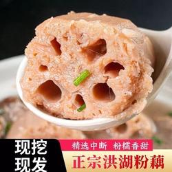 正宗湖北洪湖莲藕新鲜现挖粉糯米藕煲汤粉藕炖汤藕红莲藕火锅食材