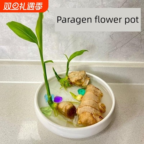 禄根花盆种植生姜禅意风陶瓷大号国潮水培水仙花睡莲碗铜钱草花盆