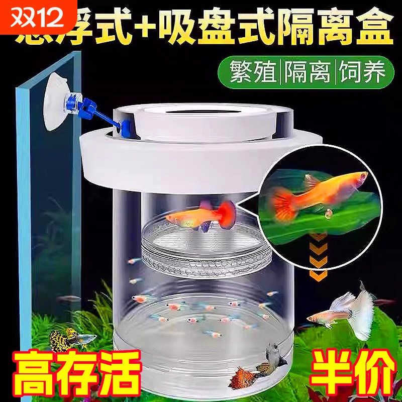 鱼缸凤尾孔雀鱼悬浮式隔离盒小鱼幼鱼苗繁殖母鱼产房漂浮孵化罐网